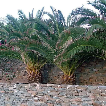 Cape Napos 3*